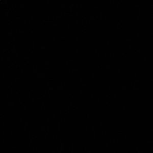 Meet your Posher, Dylan